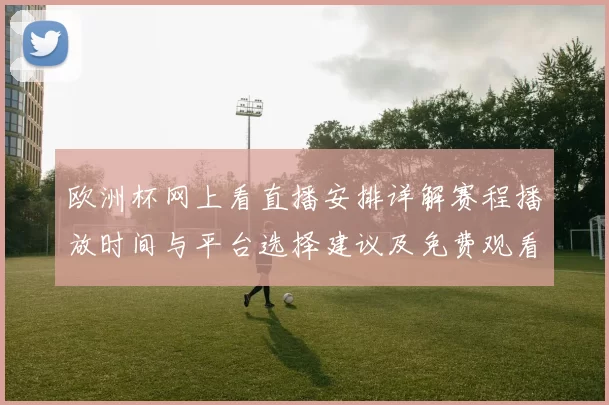 欧洲杯网上看直播安排详解赛程播放时间与平台选择建议及免费观看方式