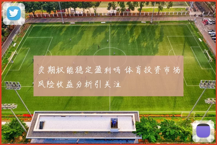 卖期权能稳定盈利吗 体育投资市场风险收益分析引关注