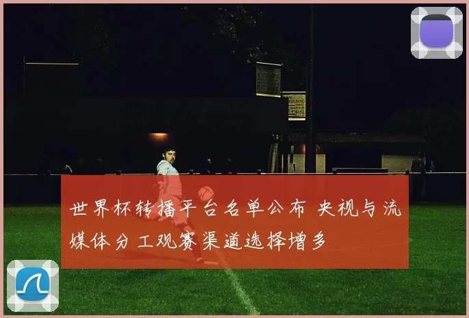 世界杯转播平台名单公布 央视与流媒体分工观赛渠道选择增多