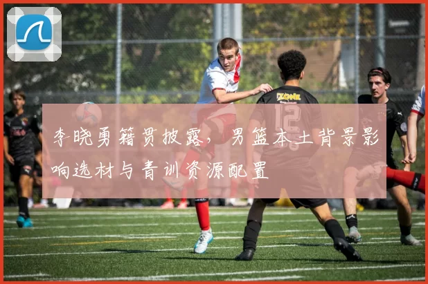 李晓勇籍贯披露，男篮本土背景影响选材与青训资源配置